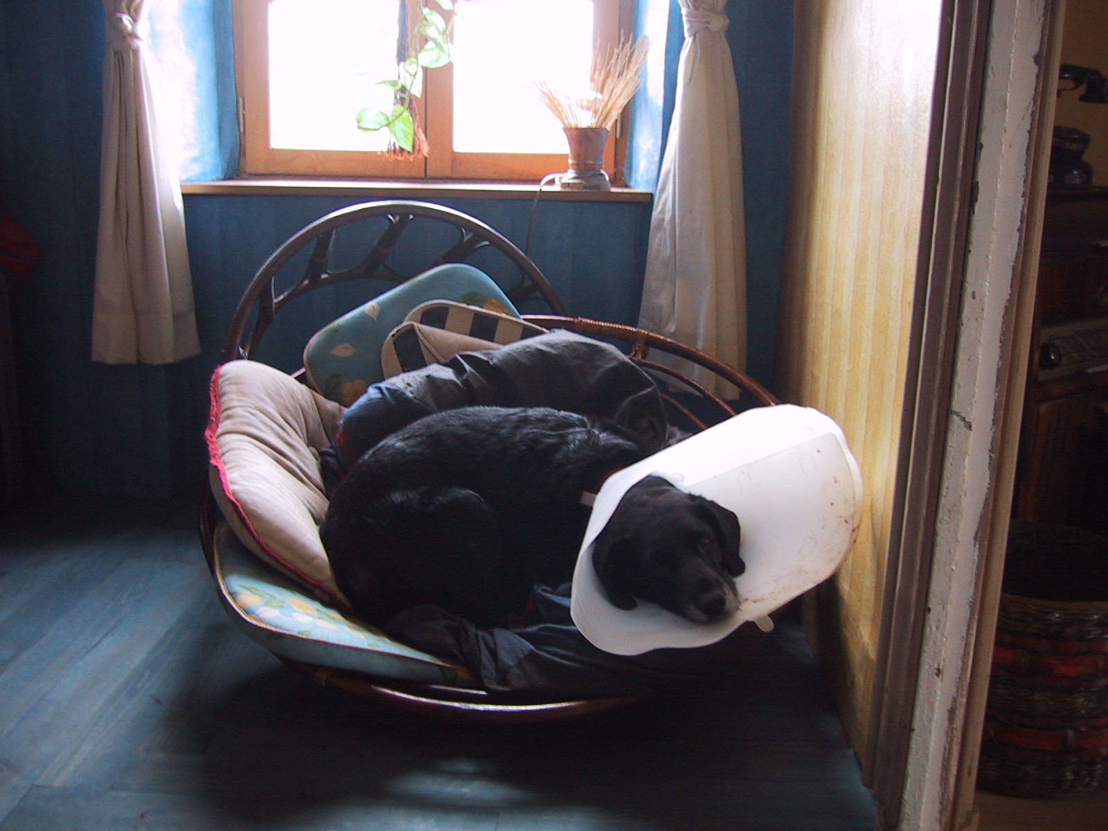 Oh weh, oh Jammer!.jpg (1600 x 1200)